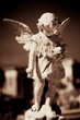 Child angel statue in a cemetery in sepia tones