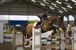 Springreiten