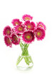 Gerber bouquet