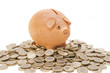 piggy bank savings