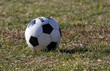 Photo: foot foot