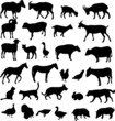 farm animals silhouettes - vector farm animals silhouettes - vector