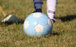 foot