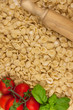 Italian Orecchiette Pasta fatte a mano Italian Orecchiette Pasta fatte a mano