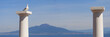 Seagull on a column with vesuvius and Naples in background