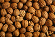 Walnut Texture