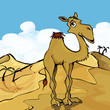 Cartoon Camel