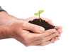 Photo: Let it grow Let it grow