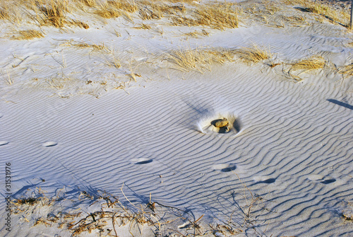 Photo: Steinaufschlag im Dünensand Steinaufschlag im Dünensand