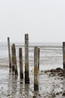 Texel - 2009