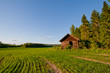 House on a meadow, Sweden