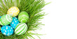 Photo: Easter eggs in a grass Easter eggs in a grass