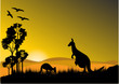 Vector: kangaroo sunset horizion kangaroo sunset horizion