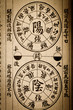 Chinese medical books