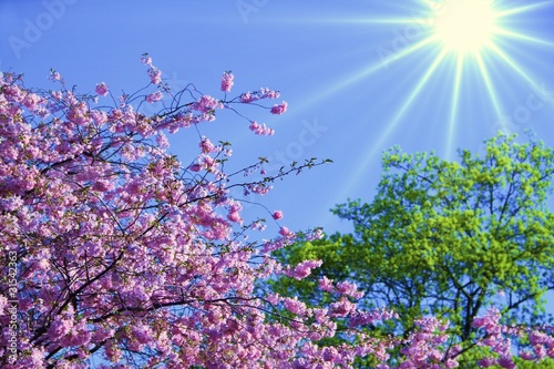 Foto: strahlend blauer Himmel strahlend blauer Himmel