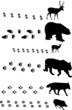 six animals with tracks on white six animals with tracks on white