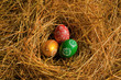 Eggs