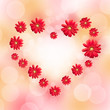 Coeur en gerberas rouges
