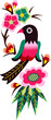artistic bird cartoon graphic artistic bird cartoon graphic
