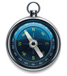 Vector compass XXL detailed icon