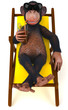 Singe et chaise longue