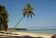 Paisaje Tropical en Brasil Paisaje Tropical en Brasil
