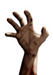Zombie hand reaching on white background Zombie hand reaching on white background