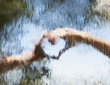 Hands making heart-shape behind glass