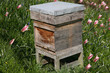 Beehive Beehive