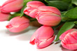 Foto: Tulpen Tulpen
