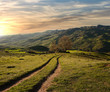 Green Valley In The Sunset