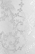 ����: silver fabric � Nneirda #31563749