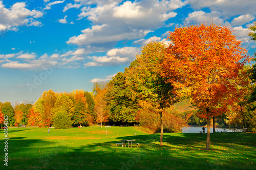 Photo: Fall foliage and a field. Fall foliage and a field.