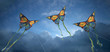 Photo: Kites Kites