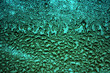 Frozen surface