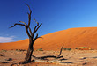 Photo: Dead Vlei, Namib-Wüste Namibia Dead Vlei, Namib-Wüste Namibia