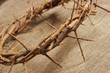 crown of thorns