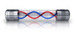 DNA molecule in hermetic capsule DNA molecule in hermetic capsule