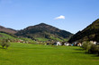 Foto: Schwarzwald Wiesen,Glottertal Schwarzwald Wiesen,Glottertal