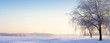 Winter beauty - nature Winter beauty - nature