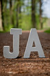 Weg im Wald