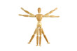 Wooden manikin Vitruvian Man