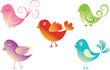 Set cute birds.