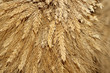 Foto: Erntedank Erntedank