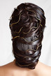 High hairdress the rear view