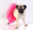 Photo: Baby girl mobs in pink skirt Baby girl mobs in pink skirt
