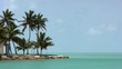 caribean island with palms caribean island with palms
