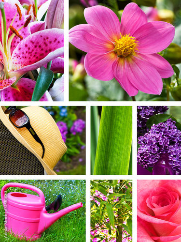 Photo: Garten Garten