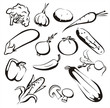 Vector: vegetables icon set in black lines vegetables icon set in black lines
