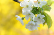Frühling 173